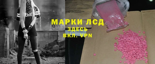 индика Богородск
