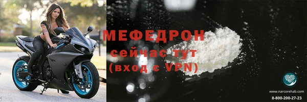 индика Богородск