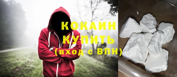 индика Богородск