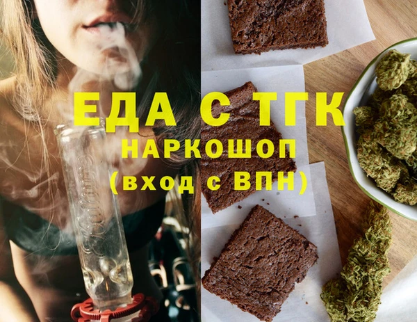 индика Богородск