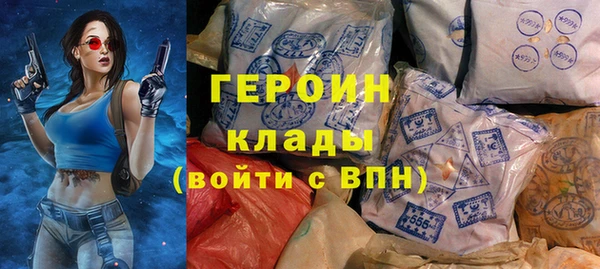 индика Богородск