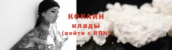 индика Богородск