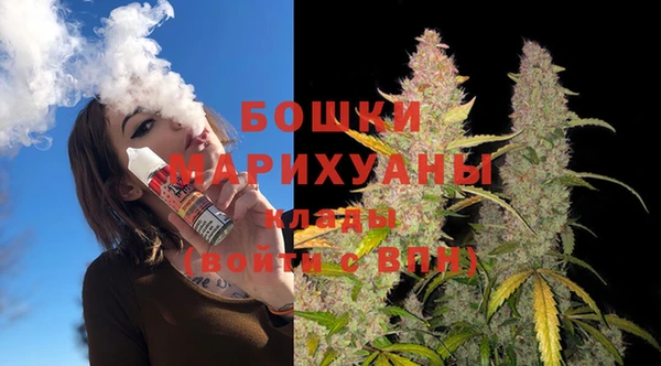 индика Богородск