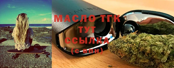 индика Богородск