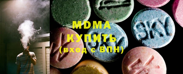 индика Богородск