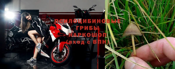 индика Богородск