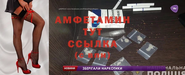 индика Богородск